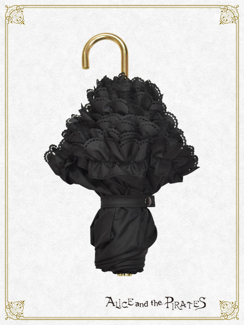 A/P folding umbrella