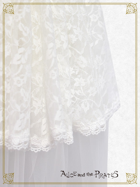 【予約】Gentildonna リボントレーン